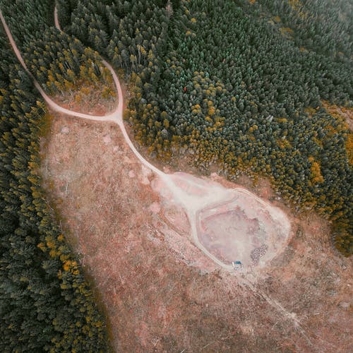 Constitutional Transmutation and Loss of Indigenous Rights – Bill 490