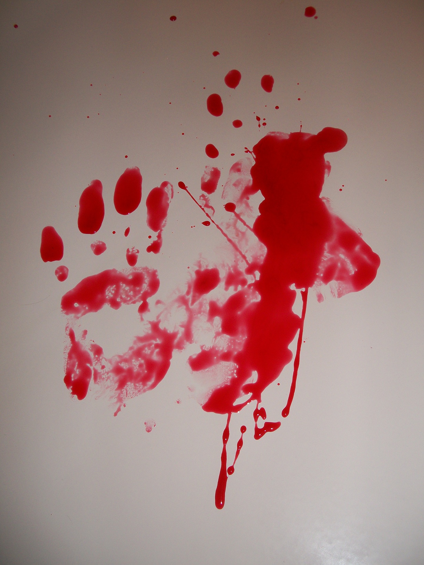 Policing in Brazil and the legitimacy to kill: the Jacarezinho case and the brutality of police officers