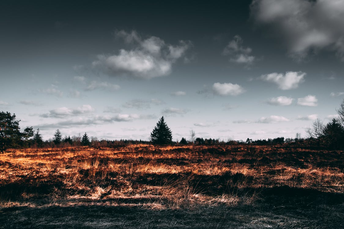 Environmental State of Emergency